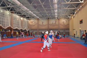 Тренировочные мероприятия в МСБК «Парамоново» сборной команды по тхэквондо