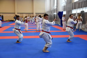 Подготовительный сбор основного состава по каратэ к II-му этапу  турнира «Премьер-Лиги Karate 2019»